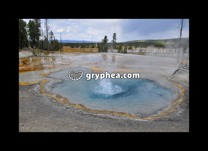 Firehole Spring - Source hydrothermale (Yellowstone NP, USA) - gryphea.com